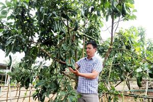 Bảo Lâm: Xây dựng nông thôn mới ở vùng đồng bào dân tộc thiểu số