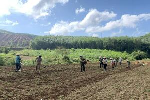 Phụ nữ Ea Trang đổi công, giúp nhau sản xuất