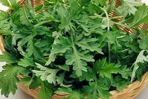 Tác dụng phụ đáng sợ của rau ngải cứu, biết mà tránh kẻo 'hại đủ đường'