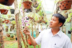 Tỉ phú lan giả hạc ở vùng biên Gia Lai