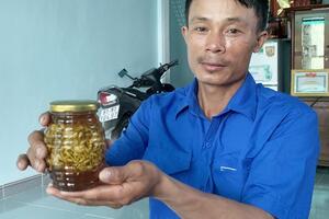 Bí thư chi đoàn khởi nghiệp từ hoa đu đủ đực