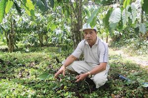 An nhiên trên từng giọt đắng