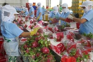 Mã số vùng trồng - “chìa khóa”  đưa nông sản Việt vươn xa