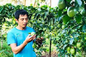 Mang Yang đẩy mạnh chuyển đổi cây trồng