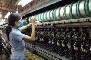 Giá kén tằm tăng lập đỉnh