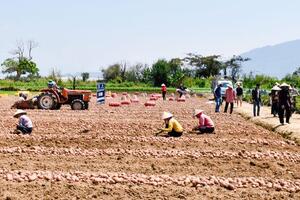 Khẳng định vai trò khoa học và công nghệ trong chuyển đổi cây trồng