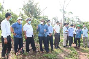 Giám sát kết quả thực hiện tái cơ cấu ngành Nông nghiệp tại huyện Đak Đoa