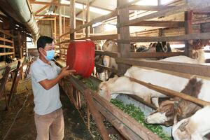 Chư Pưh đẩy mạnh phong trào "Dân vận khéo"