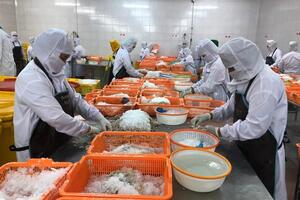 Thủy sản Việt Nam: Nhọc nhằn cạnh tranh tại thị trường RCEP