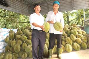 Hà Lâm: Tập trung xây dựng nông thôn mới kiểu mẫu