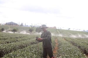 Bảo Lâm đẩy mạnh tái cơ cấu ngành Nông nghiệp