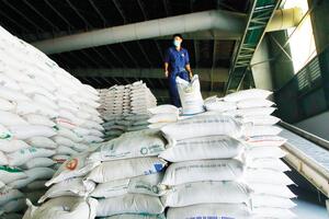 Gạo Việt chinh phục thị trường khó tính