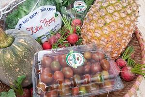 Phụ nữ hợp tác trồng rau sạch