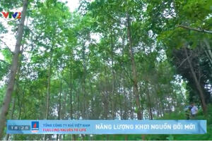 Chương trình Kinh tế xanh phát triển kinh tế rừng bền vững