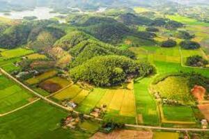 Gần 12 tỷ đồng xây dựng hạ tầng nông thôn