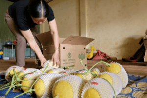 Nông dân Đắk Nông đưa nông sản lên sàn thương mại điện tử