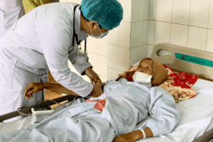 Gia Lai: Trên 6.000 ca mắc sốt xuất huyết, 267 ổ dịch đang hoạt động