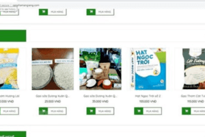 Đẩy mạnh ứng dụng công nghệ số vào sản xuất, tiêu thụ nông sản