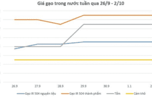 Giá lúa gạo hôm nay 2/10 và tổng kết tuần qua: Giá lúa gạo trong nước và xuất khẩu đều tăng