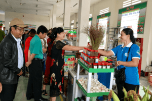 Đức Cơ tổ chức chợ phiên nông sản an toàn
