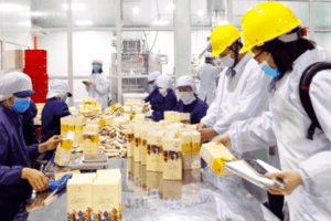 Xuất khẩu của Gia Lai lạc quan về đích