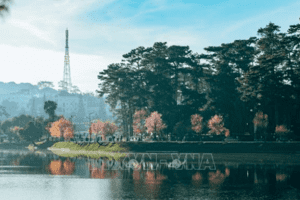 Triển khai dự án chiếu sáng nghệ thuật hồ Xuân Hương