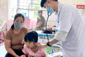 Gia Lai còn 294 ổ dịch sốt xuất huyết đang hoạt động