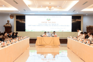 Gia Lai sơ kết công tác tháng 10, triển khai nhiệm vụ 2 tháng cuối năm 2022