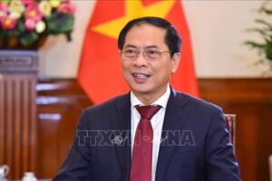 Bộ trưởng Ngoại giao Bùi Thanh Sơn: Tiếp thêm động lực mới cho quan hệ Việt Nam - Trung Quốc