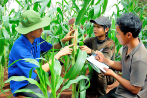 Gia Lai: Đề xuất đưa vào Nghị quyết HĐND tỉnh những quy định trong thực hiện các chương trình mục tiêu quốc gia
