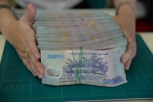 Truy tìm bị hại trong vụ bà Nguyễn Thị Hậu làm giả tài liệu của Cơ quan tổ chức