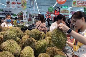 Không để sầu riêng, chanh leo thành... sầu chung