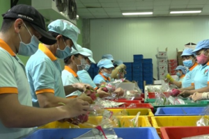 Xuất khẩu trái cây khởi sắc, kỳ vọng đạt 4 tỷ USD trong năm 2023