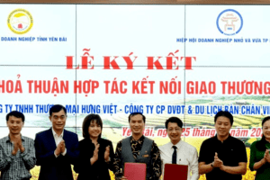 Yên Bái ứng dụng công nghệ thông tin và chuyển đổi số trong xúc tiến thương mại