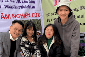 Sản xuất 5 triệu cây giống hoa cúc trắng xuất khẩu