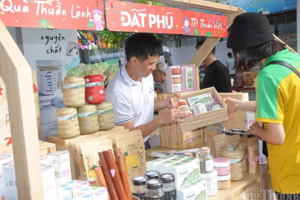 Hơn 1.000 nông đặc sản quy tụ tại Lễ hội Tết Xanh quà Việt - Xuân Quý Mão 2023