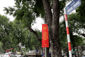 Không gian đi bộ phố Trần Nhân Tông sắp đi vào hoạt động
