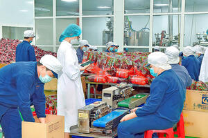 Nông sản Gia Lai rộng hướng trời Tây