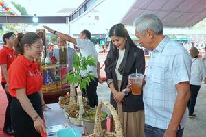 Kon Tum tổ chức Hội thi Sâm Ngọc Linh lần thứ nhất