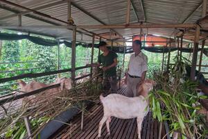 Nông dân năng động