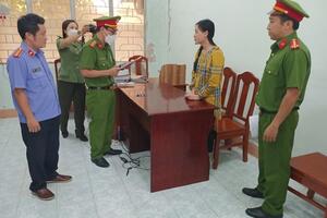 Ninh Thị Vân Anh có thể đối diện mức án 30 năm tù