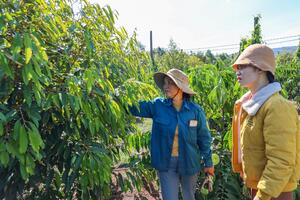 Huyện Ea H’leo: Đồng hành với phụ nữ khởi nghiệp