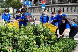 Chung sức vì thành phố xanh