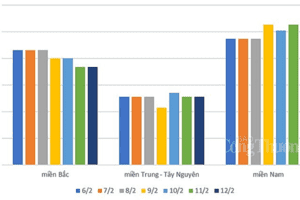 Giá heo hơi hôm nay 12/2: Ghi nhận mức trung bình khoảng 53.000 đồng/kg