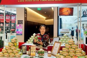Đầu tư phát triển cây dược liệu ở vùng cao