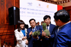 Thành phố Nonsan Hàn Quốc và 2 doanh nghiệp Việt Nam hợp tác xuất khẩu nông sản