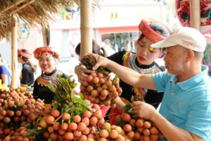 Bắc Giang: Nâng tầm thương hiệu nông sản nhờ Chương trình OCOP - Bài 1: Điểm sáng từ Chương trình OCOP