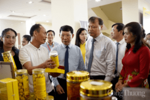 Bắc Giang: Nâng tầm thương hiệu nông sản nhờ Chương trình OCOP - Bài 2: Nâng cao hiệu quả chương trình OCOP