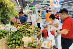 Hỗ trợ nông dân, WinMart đẩy mạnh tiêu thụ cam sành Vĩnh Long