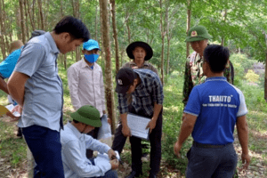 Quảng Bình tìm hướng gỡ bỏ nút thắt của dự án Cao tốc Bắc Nam